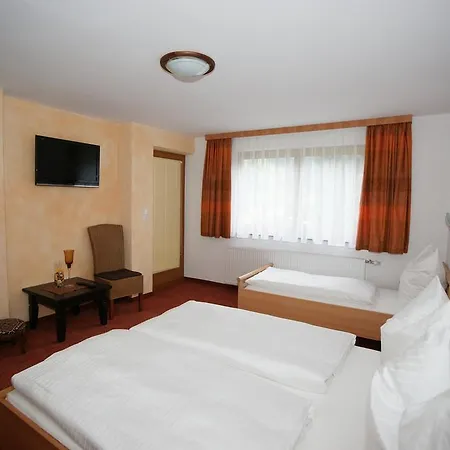 Appart-haus Carola Ramsau im Zillertal