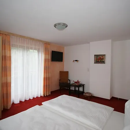 Appart-haus Carola Ramsau im Zillertal