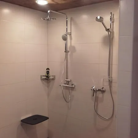 Appart-haus Carola Apartment Ramsau im Zillertal